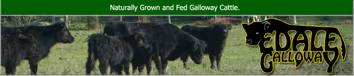 Galloway Meat